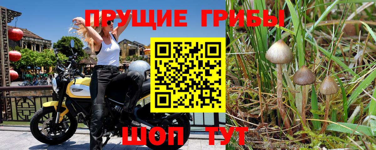 Галлюциногенные грибы мухоморы Бузулук